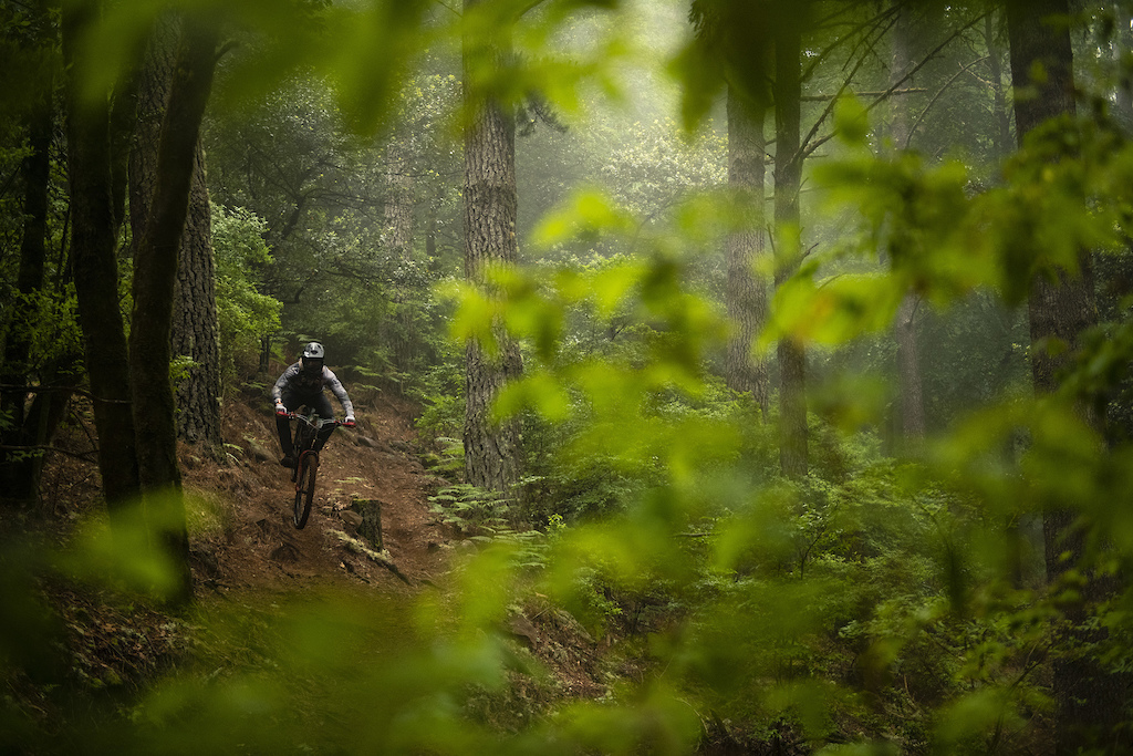 Mushroom trail may be one of the most ridden trails on the island, but in today's conditions it was on another level.