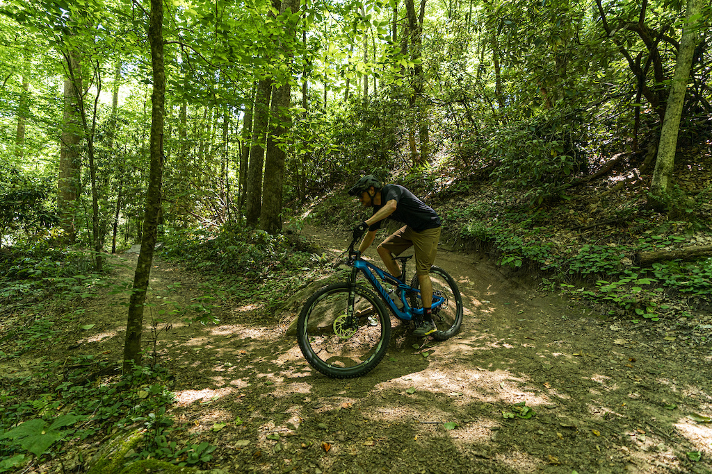 Daniel Sapp in Pisgah National Forest.
