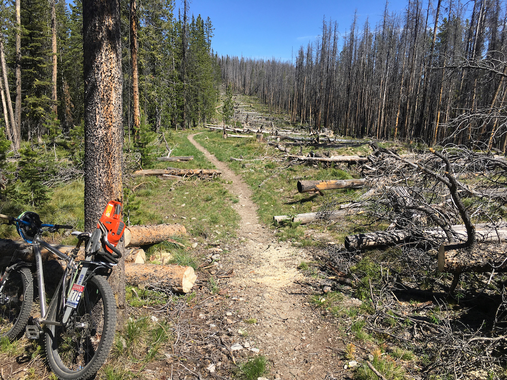 June 2019 trail clearing session.