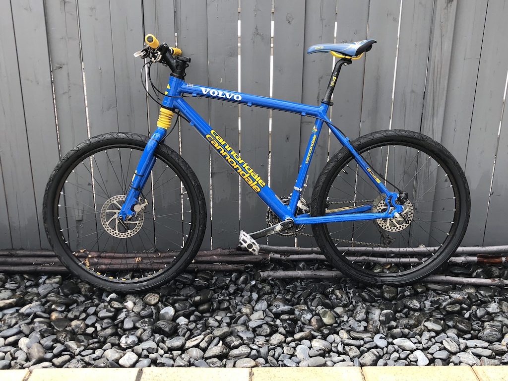 Volvo Cannondale 
CAAD 5 Frame
Year: 2000
18 lbs fully built
My Junior Race Bike
