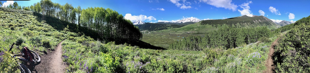 Lupine Trail - Crested Butte