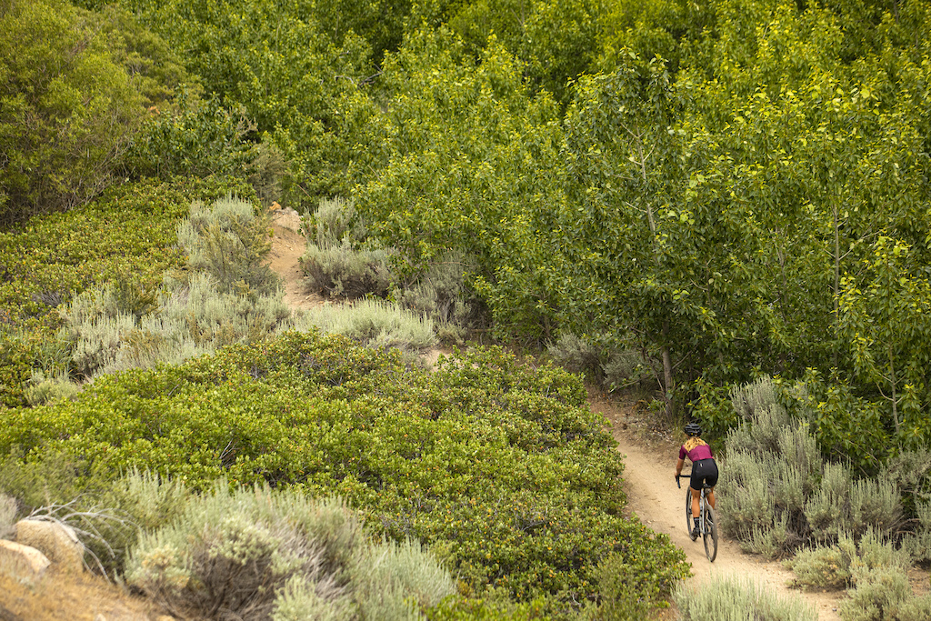 Drop bars and singletrack are a thing in Carson City.