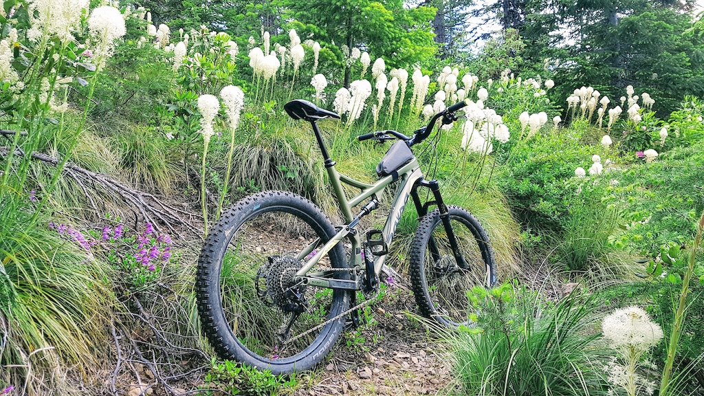 Couldnt resist a #bikeporn shot