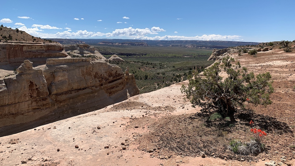 Western Rim