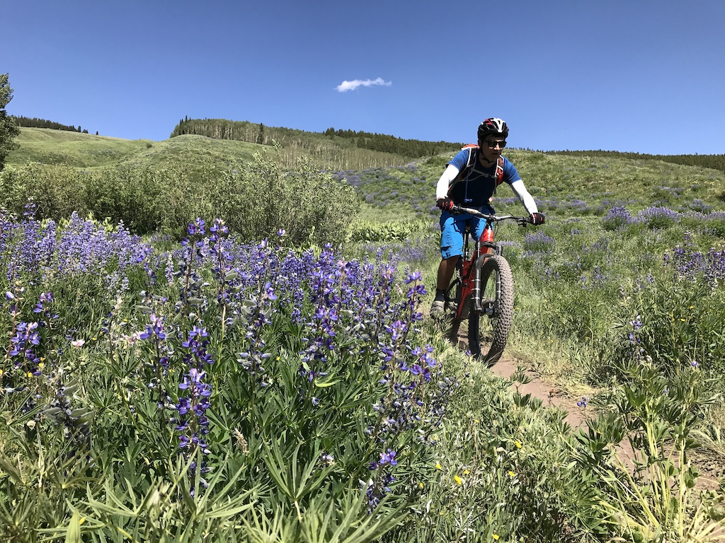 Pt Lookout, Crested Butte