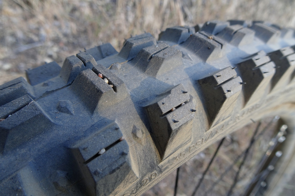 WTB tires Verdict and Judge