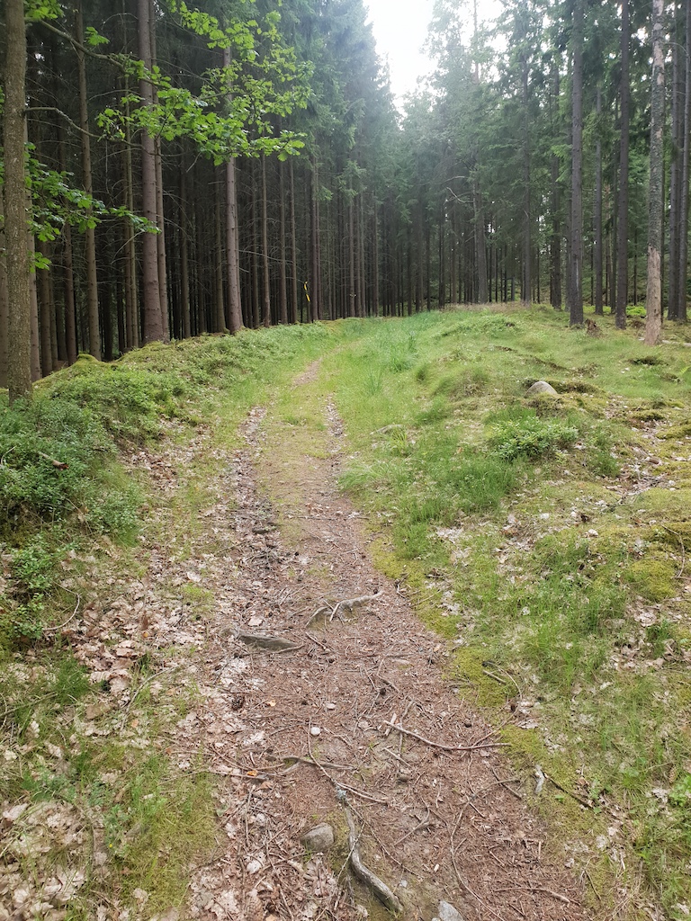 Nice path on Vättlefjällsleden