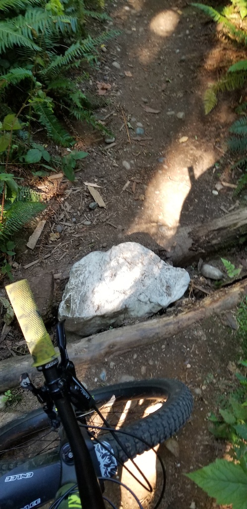Rock used to cross a small ditch on ephemeral trail