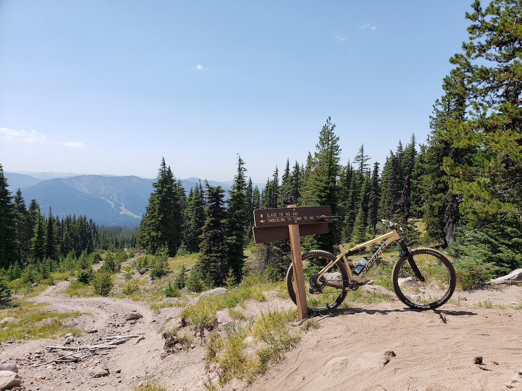 Timberline to Town on the Hardtail.