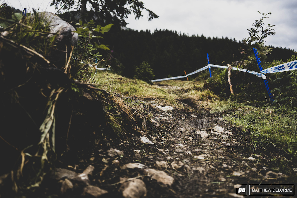 The sections of trail here just look fun to ride. I'm not so sure I'd want to race them though.