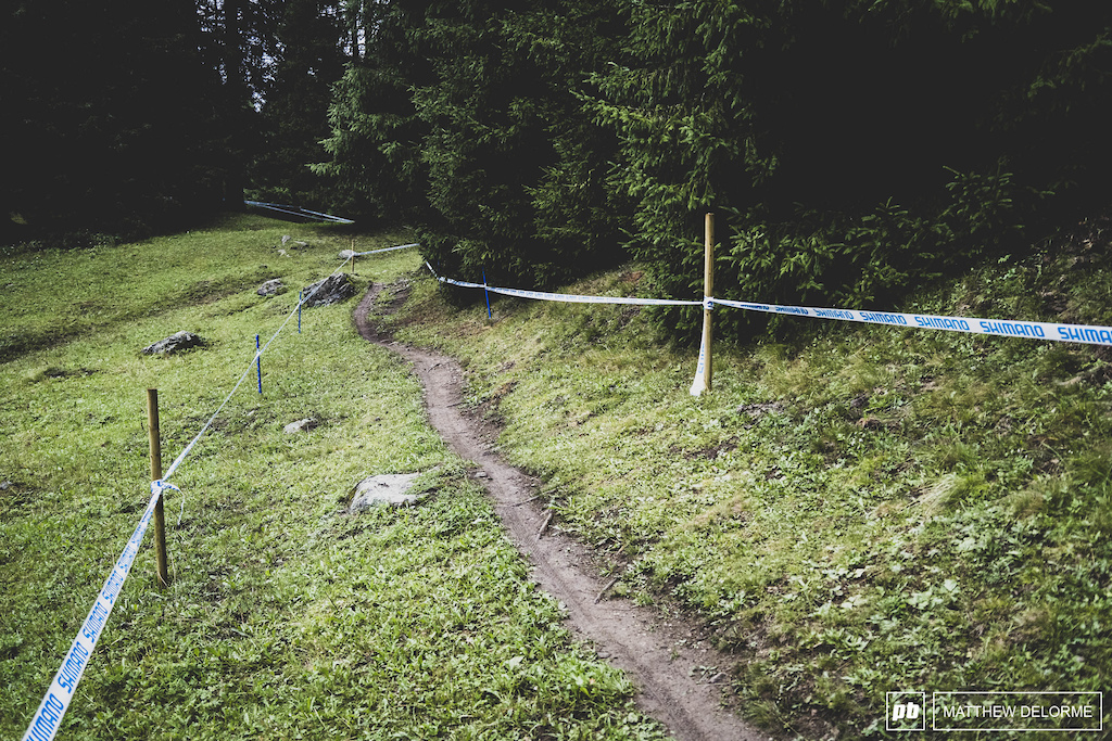 Thin Ribbons of single track with room to pass in the grass. There are cow pies, though.