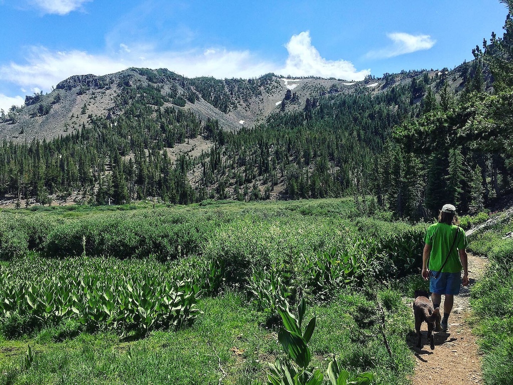 On the way down from Mount Rose also back at the start by Galena waterfall.