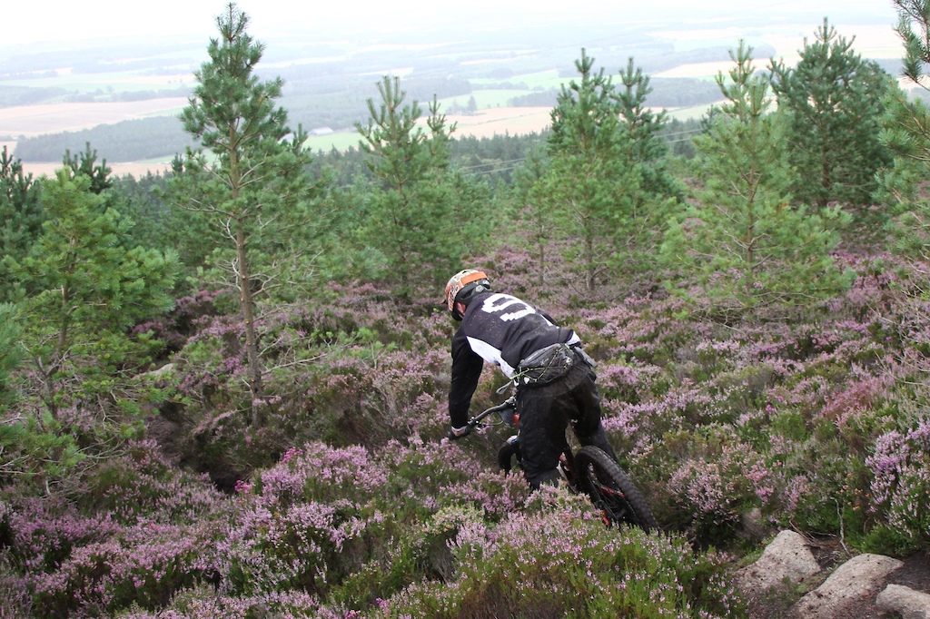Pictures taken near the end of the last leg, between the hours of 14:34 and 15:22.