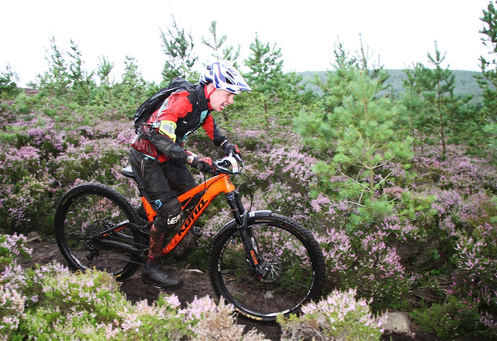 Pictures taken near the end of the last leg, between the hours of 14:34 and 15:22.