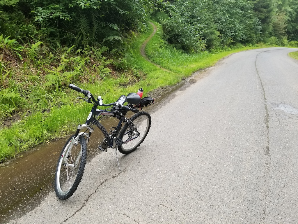 This is my 2008 Schwinn Midtown Dual Suspension "Soft Tail".  Cool Bike.  Really Fast.  Picture on the way to UWNRC near Forks WA.