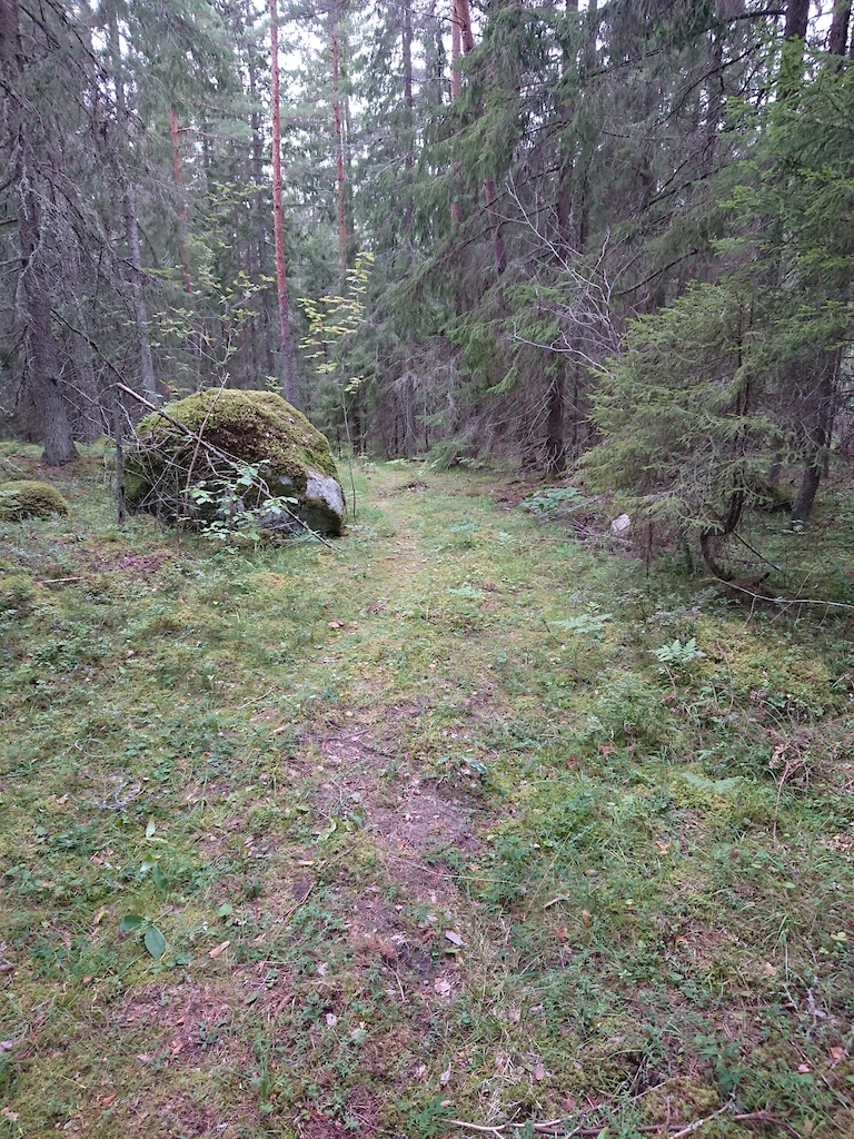 En bra bit ned i skogen. Här går det utför.