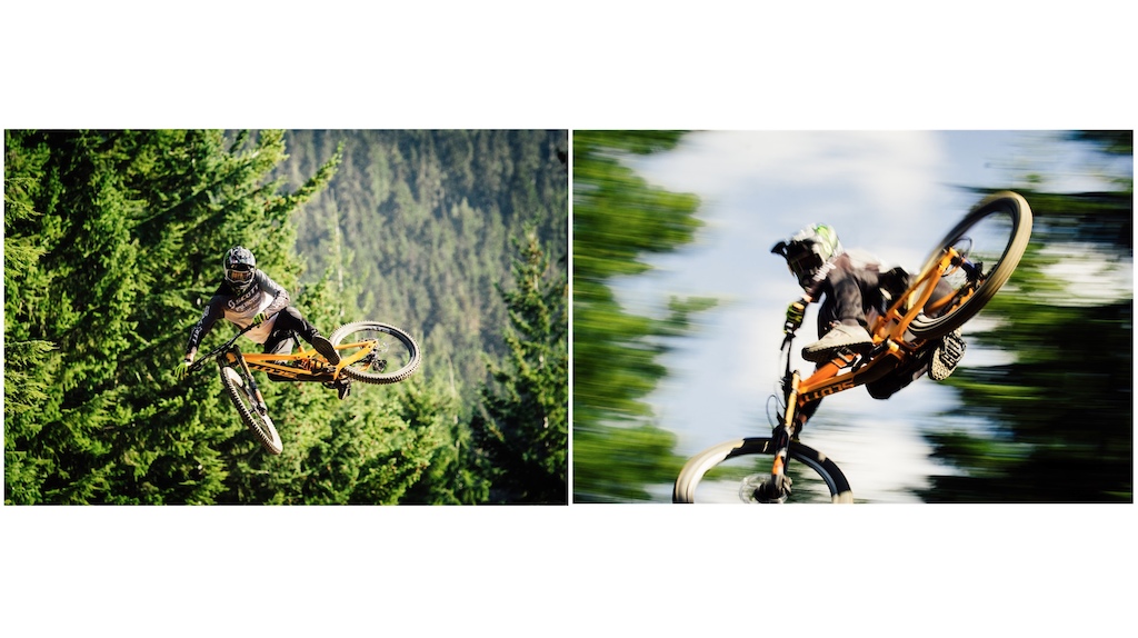 whips