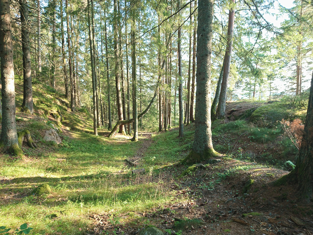 Romsåsen