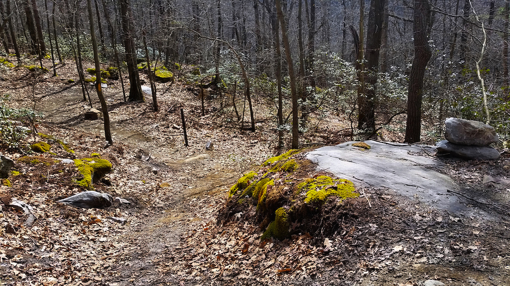 Significant rock drop at the intersection with the access trail off fire tower road. You can go to the left to ride around it. Berm-ish right hander soon after the drop.