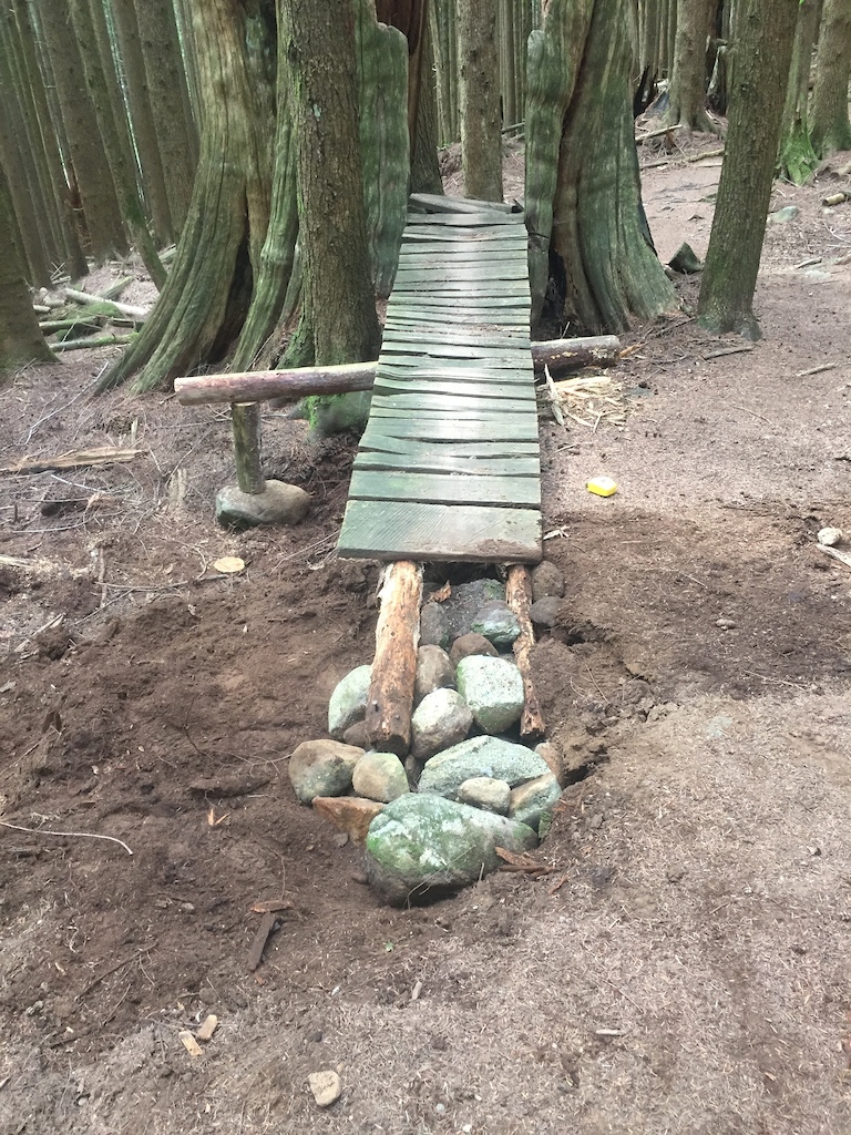 Repaired entrance to through the stump