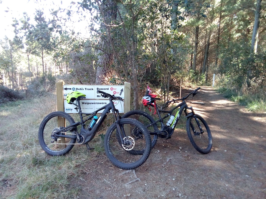 Two electric mountain bikes leaning against a trail sign in a forest.