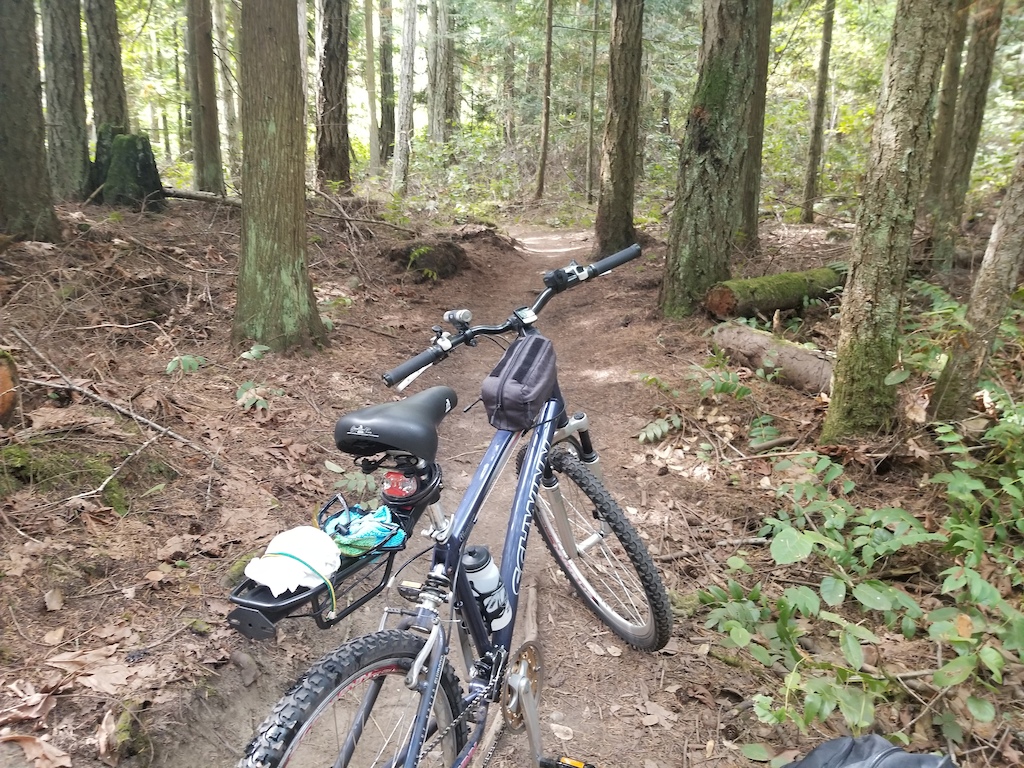Portion of the West Diamond Point Trail in the Miller Peninsula State Park.  Perfect trail for my Schwinn Midtown.  Very root infested and bumpy in places.