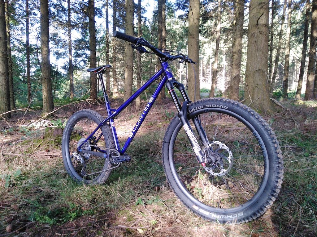 AM7 In the Wyre Forest