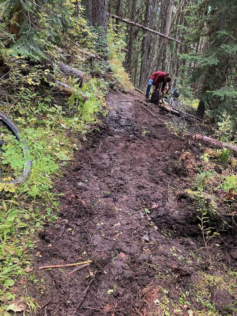 This is one of the consistently wet areas just above cabin. In previous years this has been much wetter. Increased drainage and trail reroute above have significantly improved this portion of trail.