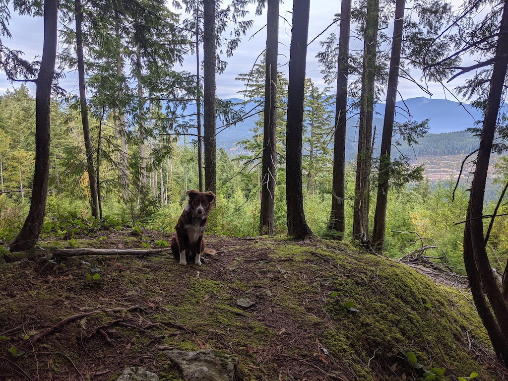 Mid-trail lookout