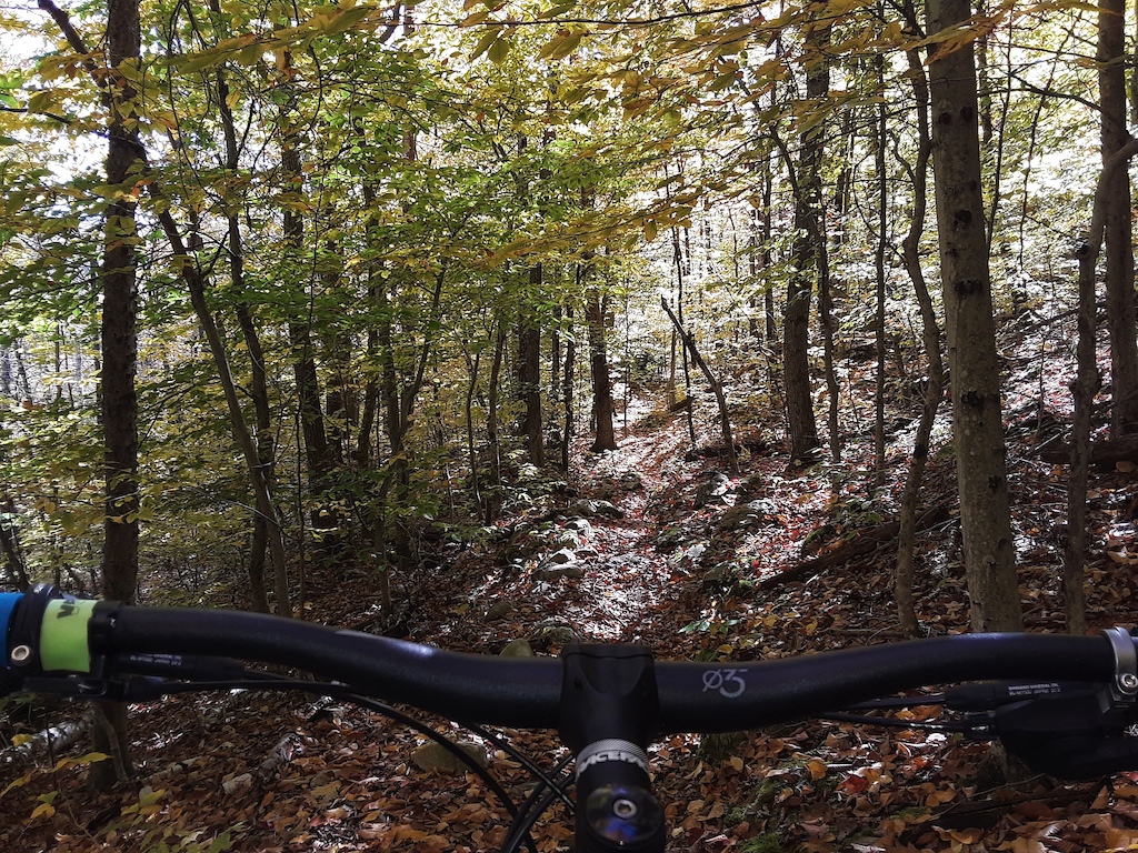 late season exploration of Leicester hollow trail.
excellent primitive singletrack to Silver Lake.