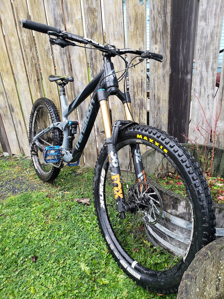 in Lake Stevens, Washington, United States photo by