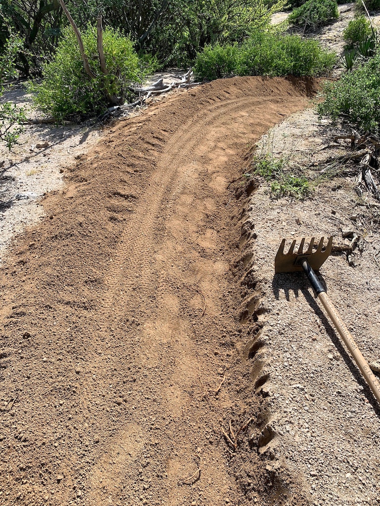 The best berms in Baja are on Java John's trail.