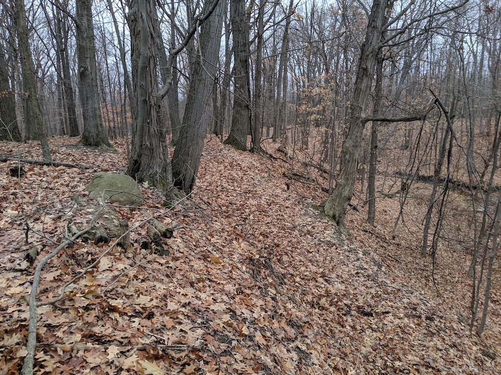 Went for a walk when I was visiting family, to see if my old trail gap exists, she'd go with a rebuilt lip and a rake