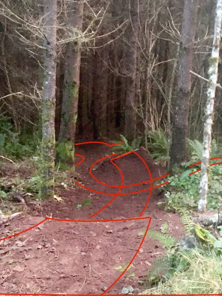 new alternate straight line option with chest high drop off the gravel road into a hip sending you into the Learning Curve line riders left.