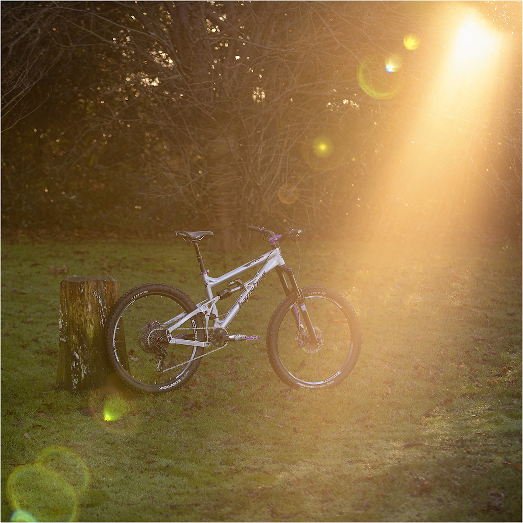 I finally got around to taking some proper photos of my new(ish) UK steed when the sun decided to make an appearance yesterday.