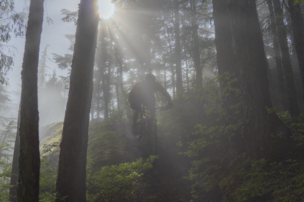 Riding through majestic old growth trees in epic light after a storm