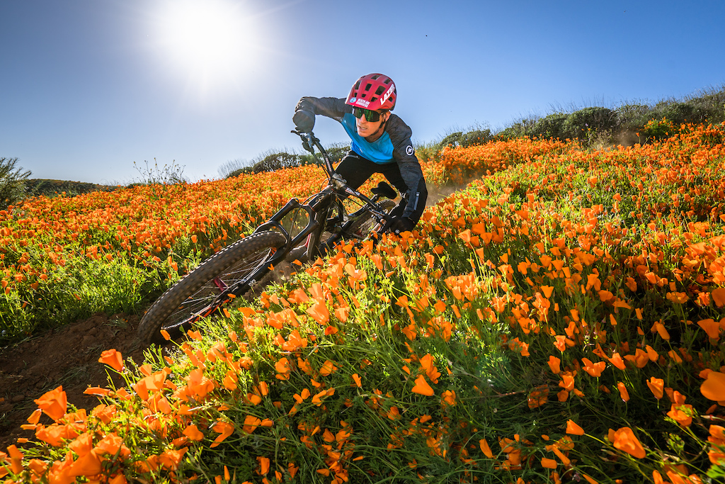 Brian Lopes rips through the super bloom in Southern California. (No flowers were harmed in this photo, these were preexisting moto trails)