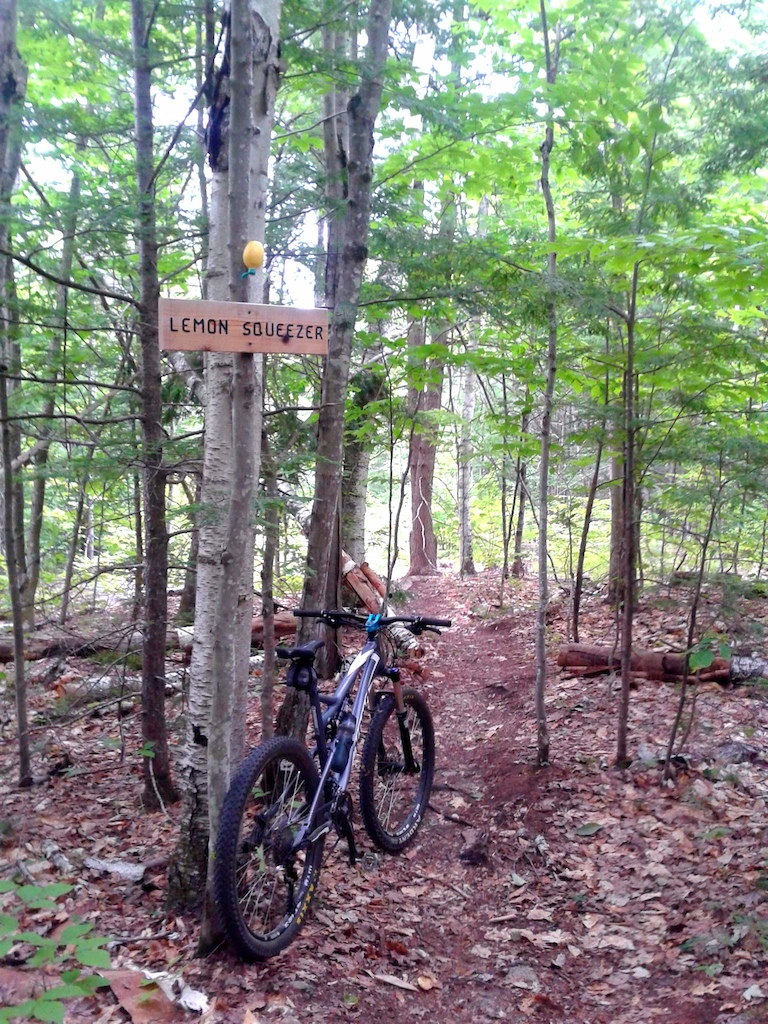 Marshall Conservation area. sweet trails, some new and a bunch of classic N.E. xc
lemon squeezer passes between some huge slabs. Lots of rock. fun