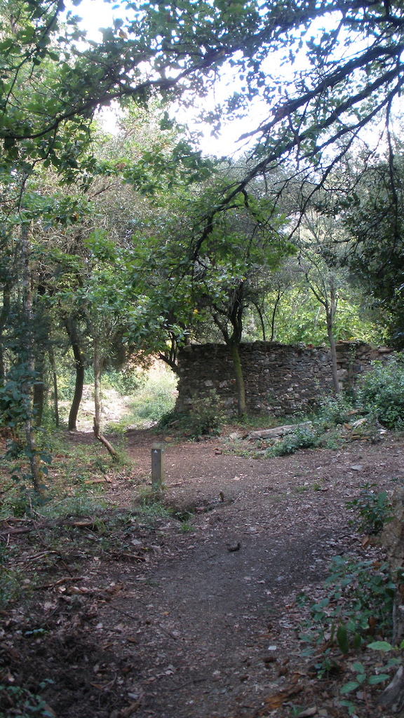 Ruinas de Can Gordi