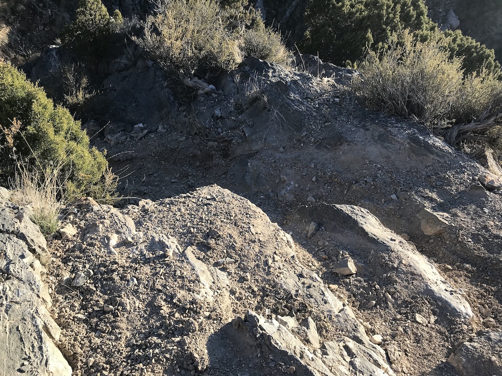 Rocky mountain bike terrain with exposed stone slabs and sparse desert vegetation.