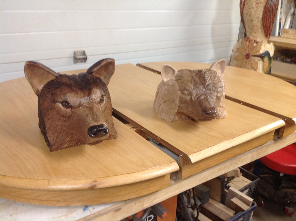 Wolf head, badger head, kitchen table I've been meaning to resurface for five years. Keep busy!