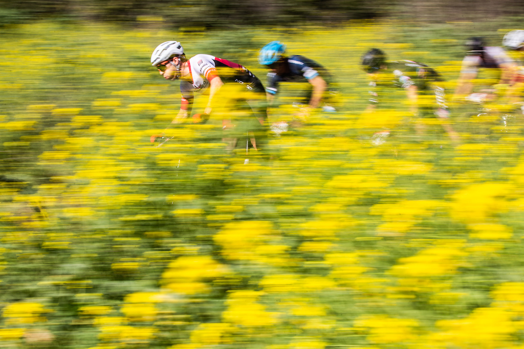 Peter Disera leading the charge through the flowers in California