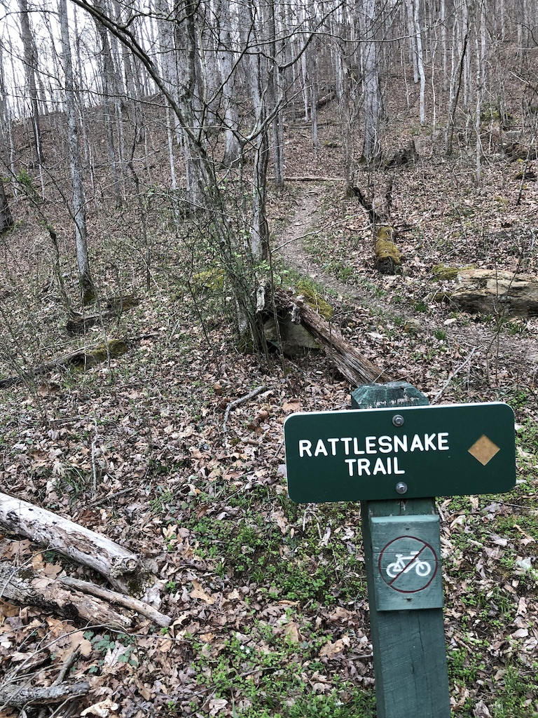 at Rattlesnake Trail in Charleston, West Virginia, United States photo by JtotheNtotheK Pinkbike