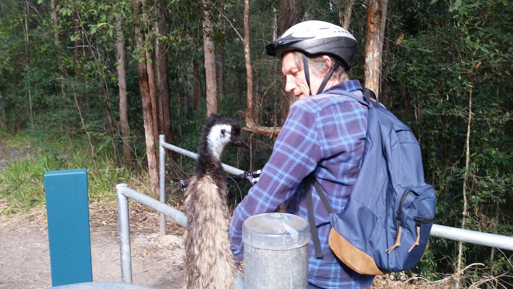 Saying hello to Fluffy the Emu at Parklands Nambour .