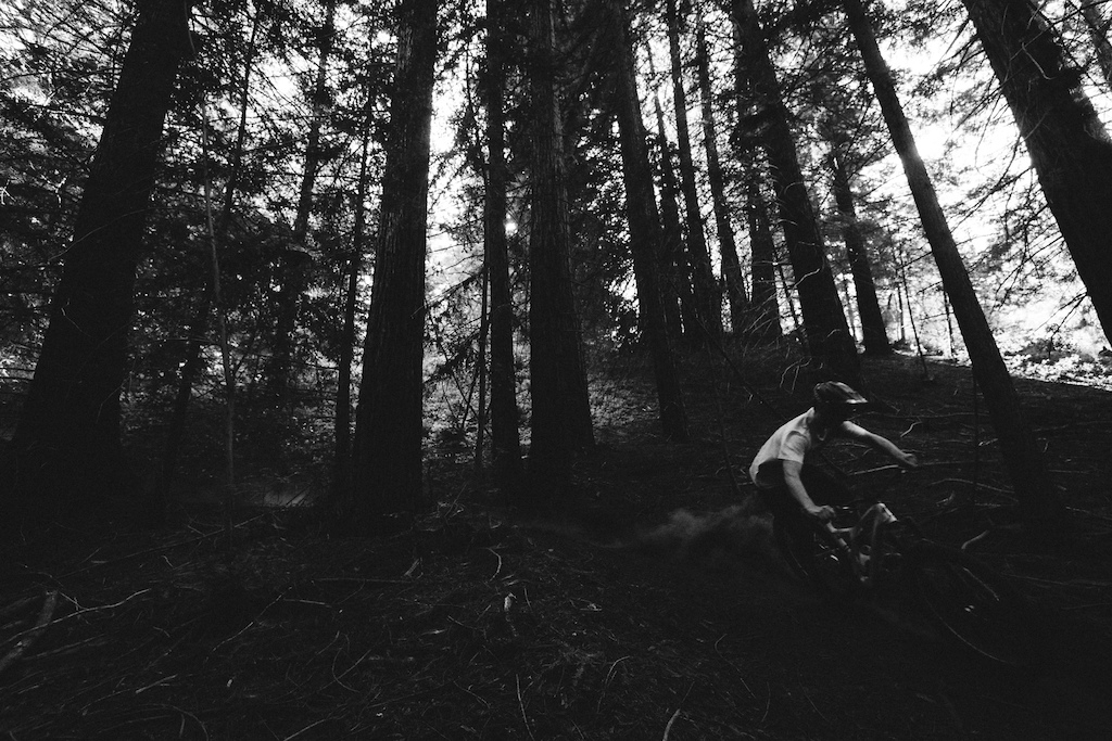 A dark day in the woods from a while back...