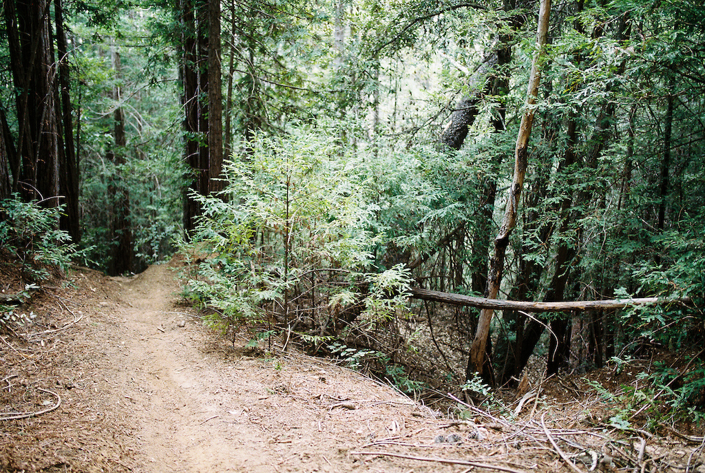 Recipe for a good afternoon. Grab your brother, two bikes, a roll of Portra 400, a camera, and head towards your favored trail. Ride until satisfied and repeat.