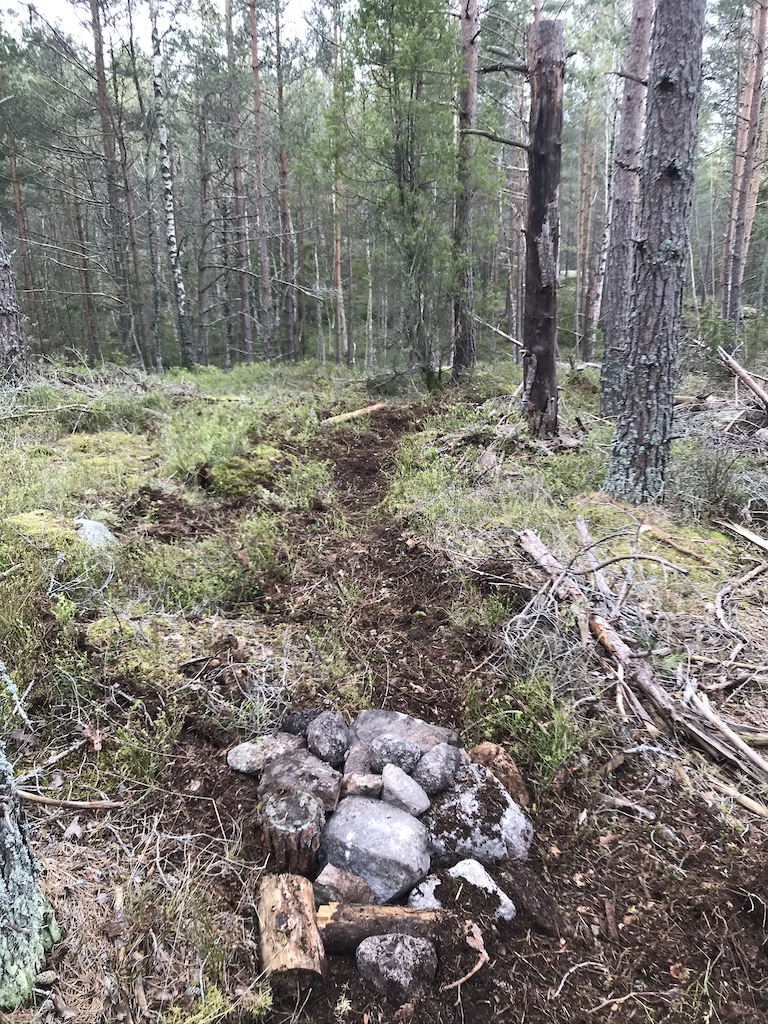 Börjat med ett hopp på nya svängen