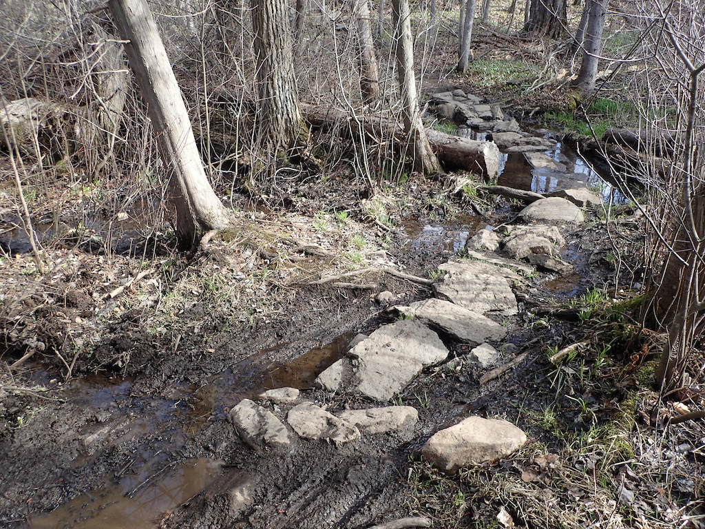 Future trail day area.  Water is draining from beaver dam on the left (out of photo) to the right, if I remember correctly.  Need stone culvert (bridge) to allow water to flow unimpeded, and re-do rock armouring.