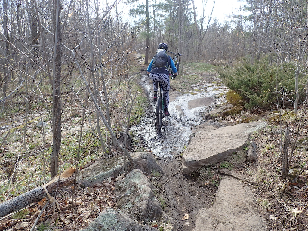 Future trail day area.  Water is draining from above and running down the trail and accumulating in the puddle the rider is passing through.  Just need to dig some trenches to drain the water off the trail.  Simple fix.