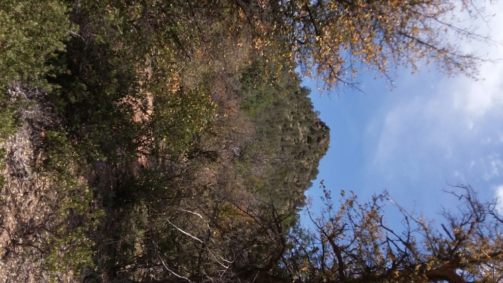 A moss-covered rock formation against blue sky with fall foliage.